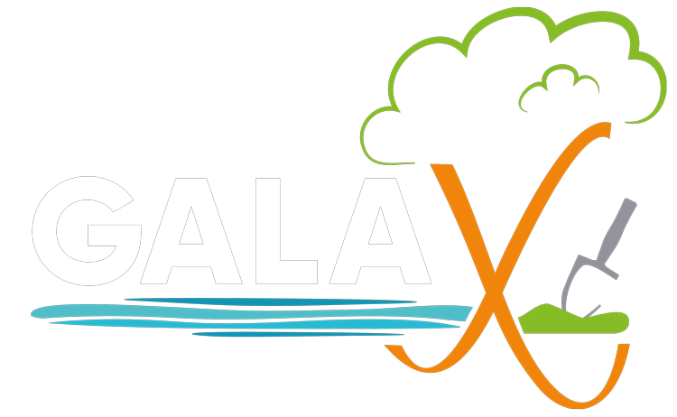 GalaX